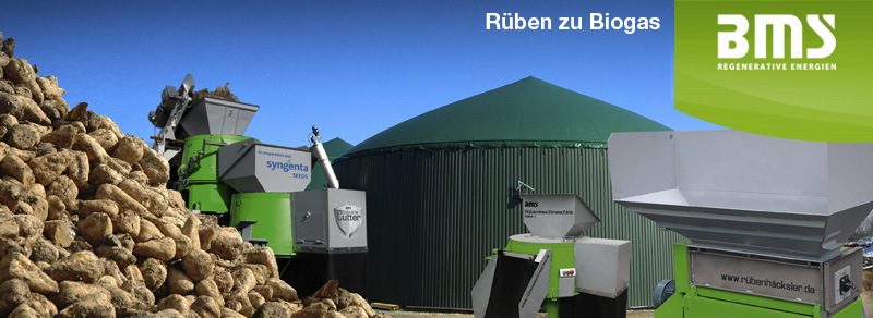 Rueben zu Biogas