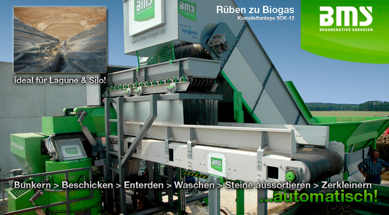Rueben zu Biogas